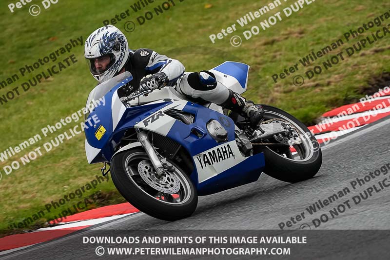 anglesey;brands hatch;cadwell park;croft;donington park;enduro digital images;event digital images;eventdigitalimages;mallory;no limits;oulton park;peter wileman photography;racing digital images;silverstone;snetterton;trackday digital images;trackday photos;vmcc banbury run;welsh 2 day enduro